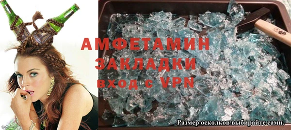 индика Медвежьегорск