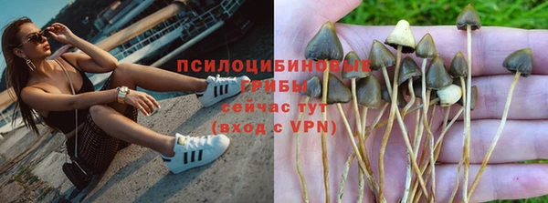 ALPHA PVP Михайлов