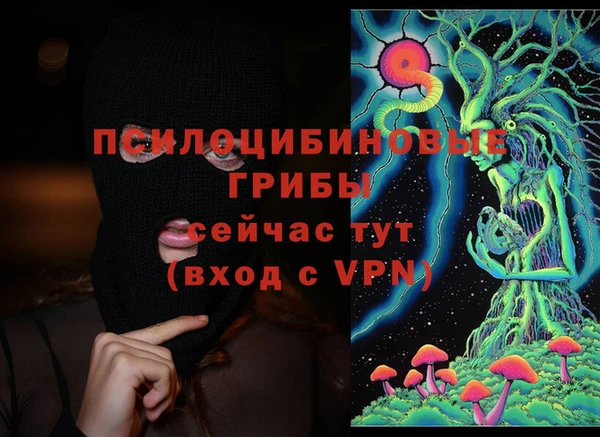 МДПВ Михайловка